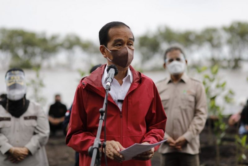 Presiden Jokowi menegaskan, rehabilitasi mangrove ini akan terus dilakukan tidak hanya di Kabupaten Bengkalis, tetapi di seluruh Tanah Air. (Foto:Mediacenter Riau)