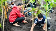 Suasana penuh keakraban dan kekeluargaan ini membuat anak-anak sekolah yang ikut dalam aksi penanam pohon mangrove merasa tidak canggung atau segan maupun takut dengan orang nomor satu di negeri ini. (Foto:Mediacenter Riau)