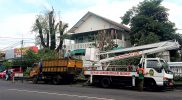 Dinas Lingkungan Hidup (DLH) Kota Yogyakarta mengintensifkan pemangkasan pohon-pohon perindang yang rimbun. (Foto: Humas Pemkot Yogya)