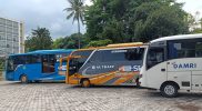 Damri menyediakan 97 armada bus yang dioperasikan di kawasan Circuit, Mandalika. (Foto: DAMRI)