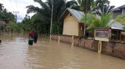 Banjir di Kabupaten Aceh Utara Provinsi Aceh, Jumat (12/11/2021) pukul 16.00 WIB merendam 552 unit rumah warga dan menggenangi 210 hektar sawah. (Foto: BPBD Kabupaten Aceh Utara)