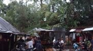 Peristiwa angin kencang yang terjadi di wilayah Kabupaten Mojokerto, Provinsi Jawa Timur, mengakibatkan pohon tumbang yang berdampak pada kerusakan bangunan. Kejadian tersebut menyebabkan tiga warga meninggal dunia dan tiga lainnya luka berat. (Foto: BPBD Kabupaten Mojokerto)