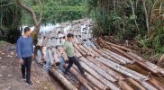 Pembalakan liar di Cagar Biosfer Giam Siak Kecil dilakukan kelompok Anak Jenderal, polisi menemukan barang bukti kayu kurang lebih 10 ton dengan jenis rimba campuran. (Foto: Mediacenter Riau/asn)