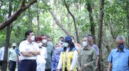Menteri Koordinator Bidang Kemaritiman dan Investasi (Menko Marves) Luhut B. Pandjaitan mengatakan bahwa tanaman mangrove memiliki manfaat dan berkontribusi besar dalam penyerapan karbon dioksida atau gas rumah kaca. (Foto: Kemenko Marves)