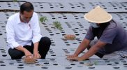 Presiden Joko Widodo menanam bawang merah di kawasan lahan “food estate”, di kawasan Embung Bansari, Desa Basansari, Kecamatan Bansari Kabupaten Temanggung, Selasa (14/12/2021). (Diskominfo Temanggung)
