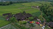 Desa Karangrejo Kecamatan Borobudur Magelang menjadi salah satu desa pilot project smart village. (Foto: humas/beritamagelang)