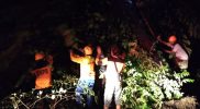 Petugas BPBD Kabupaten Sragen bersama tim gabungan melakukan pemotongan batang pohon tumbang di salah satu ruas jalan usai diterjang angin kencang pada Minggu (23/1). (Foto: BPBD Kabupaten Sragen)
