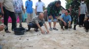 Bupati Jepara Dian Kristiandi saat melepasliarkan 85 ekor tukik atau anak penyu, jenis penyu sisik di Pulau Parang, Karimunjawa, Jumat (11/3/2022) sore. (Foto: Diskominfo Jepara)