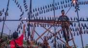 Festival Lampu Colok di Kabupaten Rokan Hilir kembali digelar pada Ramadan 1443 H Tahun 2022. (Foto: MC Riau)