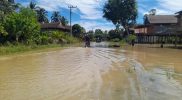 Banjir yang terjadi di wilayah Kabupaten Mamuju Tengah menyebabkan 110 rumah dan lahan pertanian warga terendam banjir. Hujan dengan intensitas tinggi menyebabkan meluapnya sungai Karama yang memicu banjir pada hari Minggu (15/5/2022). Foto: BPBD Mamuju Tengah