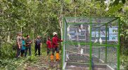 Sebanyak 38 satwa endemik Papua dilepasliarkan di Hutan Adat Isyo, Kabupaten Jayapura, Provinsi Papua. Foto: Biro Humas KLHK