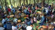 Tradisi Nyadran Suro di Makam Kiai Kramat di Desa Tlogopucang, Kecamatan Kandangan, Kabupaten Temanggung. Foto: MC.TMG