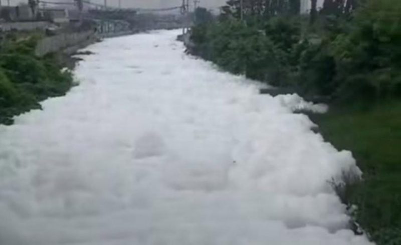 Fenomena buih atau busa tebal berwarna putih terlihat menyelimuti Sungai Kalisari Damen, Kecamatan Mulyorejo, Surabaya, Selasa (2/8/2022). Foto: selalu.id