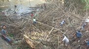 Masyarakat dan OPD terkait di Rembang mengadakan kerja bakti membersihkan sangkrah dapuran bambu. Foto: MC Kab.Rembang