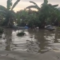 Banjir yang menerjang Kota Semarang, Jawa Tengah. Foto: BPBD Kota Semarang 