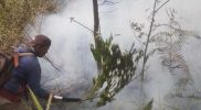 Pemadaman manual kebakaran hutan Lawu. (foto:Istimewa)